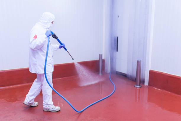 Best Graffiti Removal  in Vinton, IA