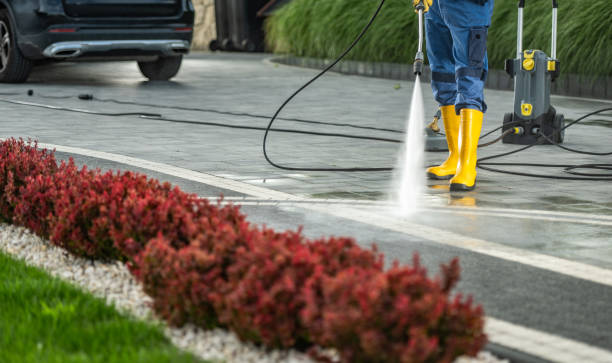 Best Soft Washing  in Vinton, IA